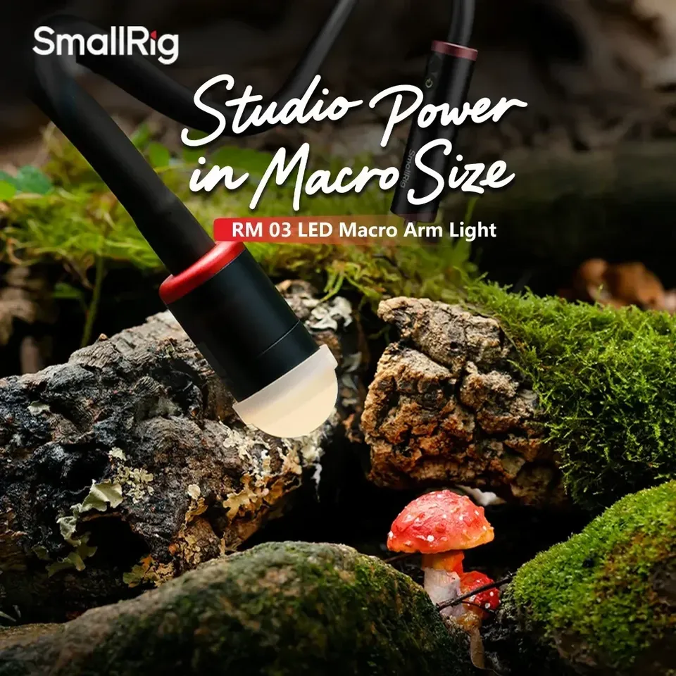 Para smallrig RM-03 3w led mac - Photography Lighting For Jewelry avaliação e preço